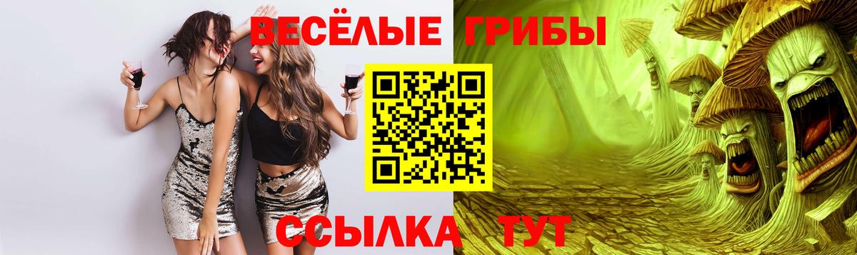 Уссурийск  купить наркотики цена  Псилоцибиновые грибы мицелий  Вход с VPN  Галлюциногенные грибы Psilocybe 